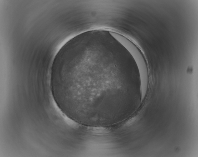 X0000111171007200907151254