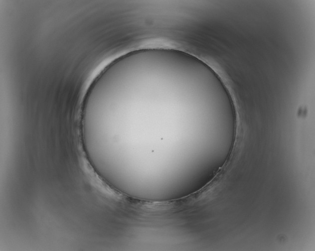 X0000111171008200907151254