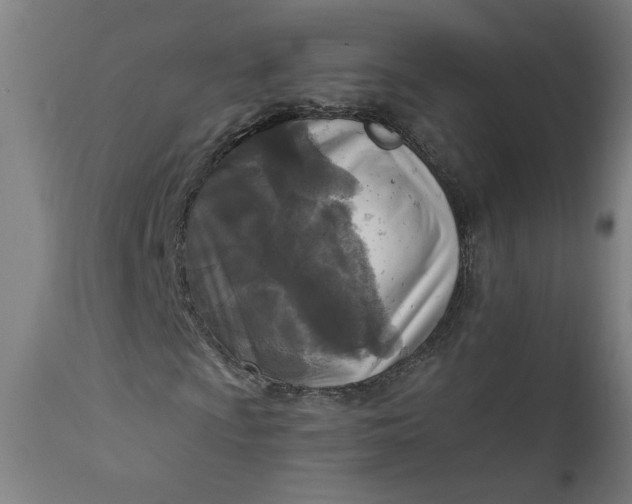 X0000111171009200907151253