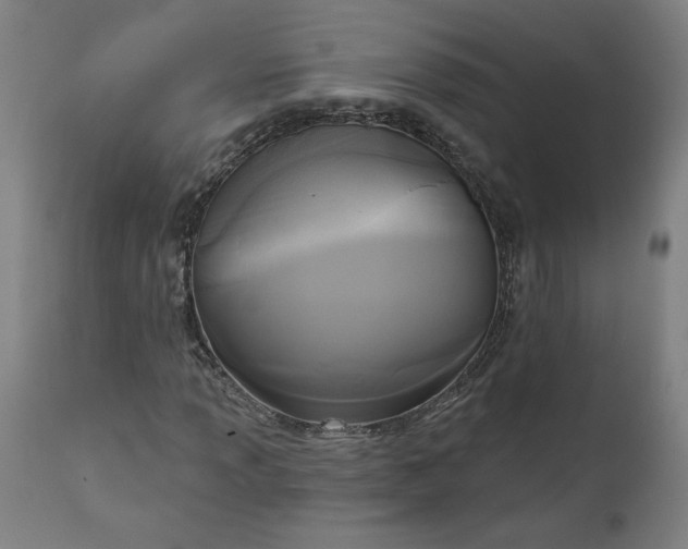 X0000111171013200907151253