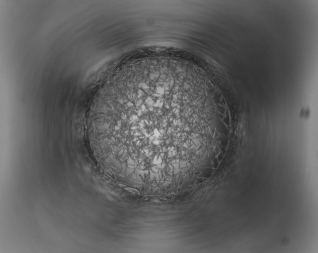 X0000111171014200907151253