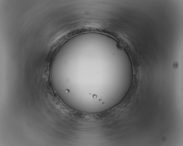 X0000111171015200907151253