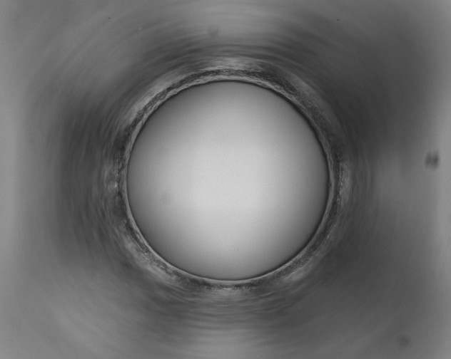 X0000111171017200907151253