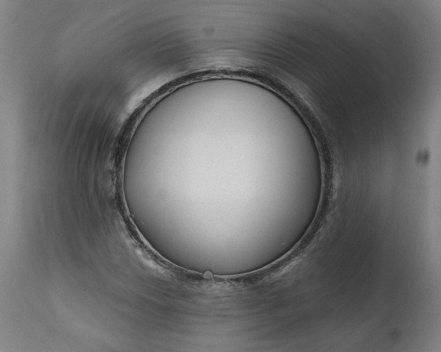 X0000111171018200907151253