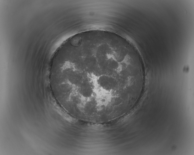 X0000111171019200907151253