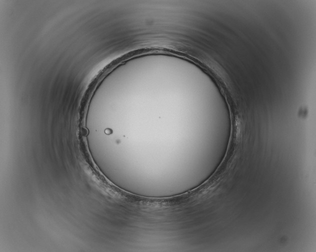 X0000111171020200907151253