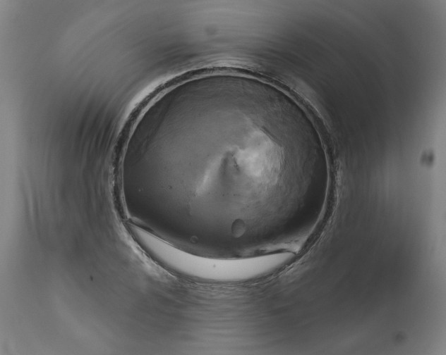 X0000111171024200907151253