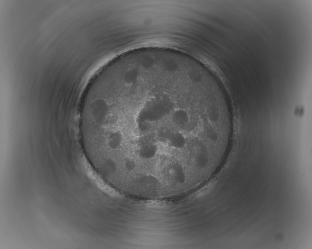 X0000111171029200907151254