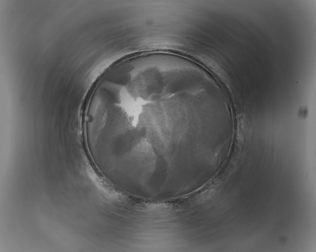 X0000111171031200907151254