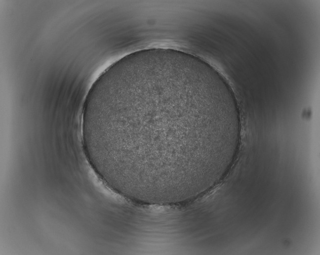 X0000111171032200907151254