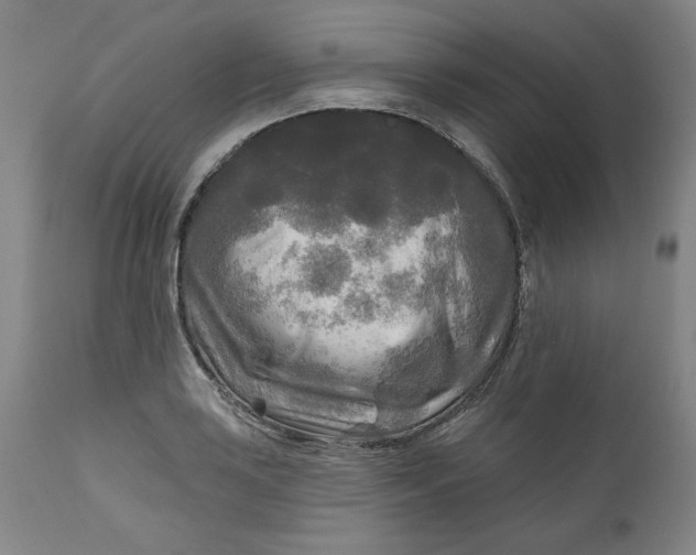 X0000111171035200907151254