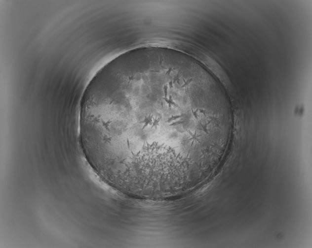 X0000111171036200907151254