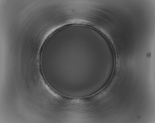 X0000111171037200907151254