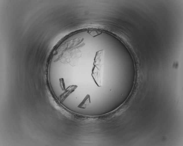 X0000111171038200907151254