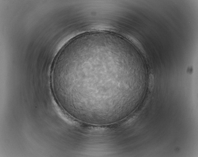 X0000111171039200907151254