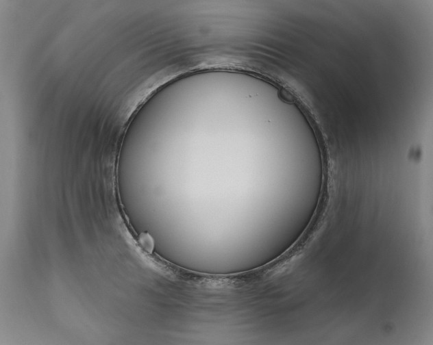 X0000111171041200907151254