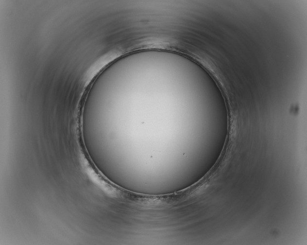 X0000111171042200907151254