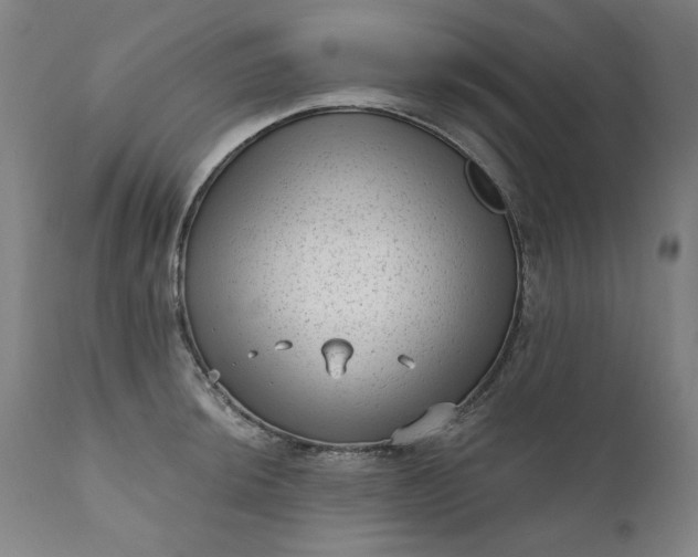 X0000111171044200907151254