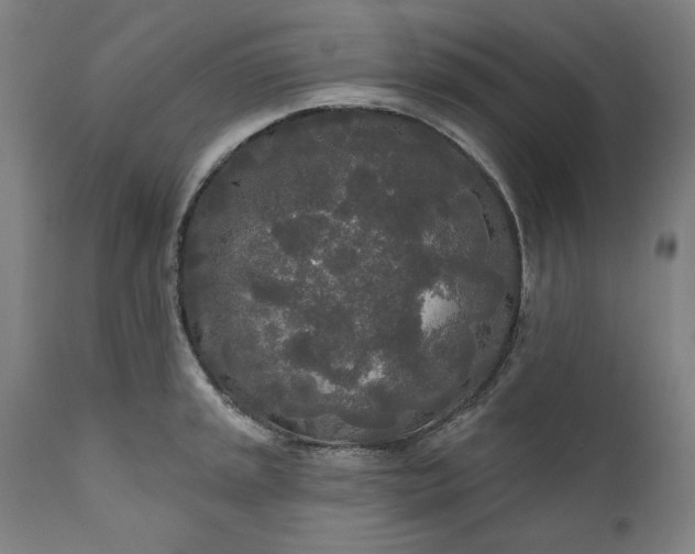 X0000111171045200907151254