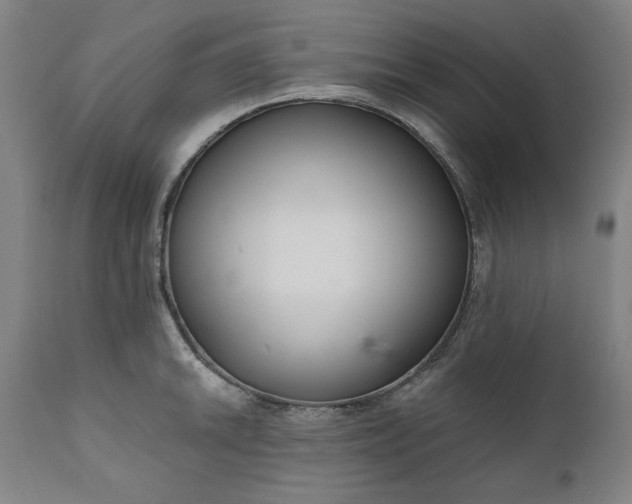 X0000111171046200907151254