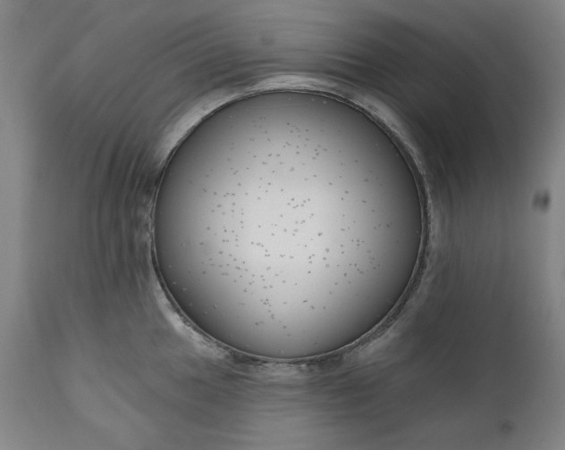 X0000111171049200907151254