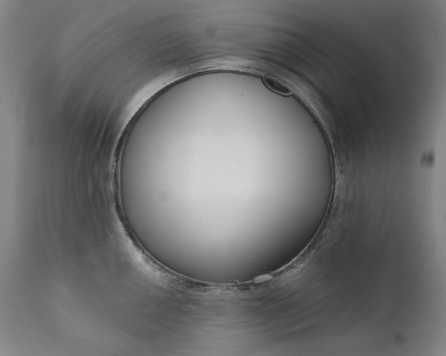 X0000111171050200907151254