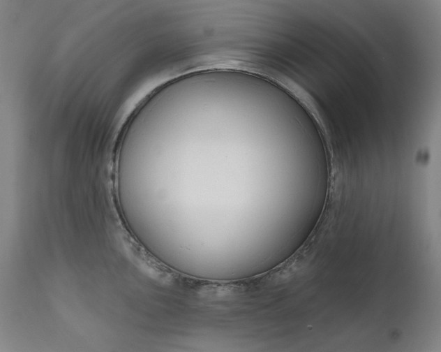 X0000111171051200907151254