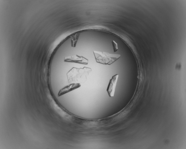 X0000111171054200907151254