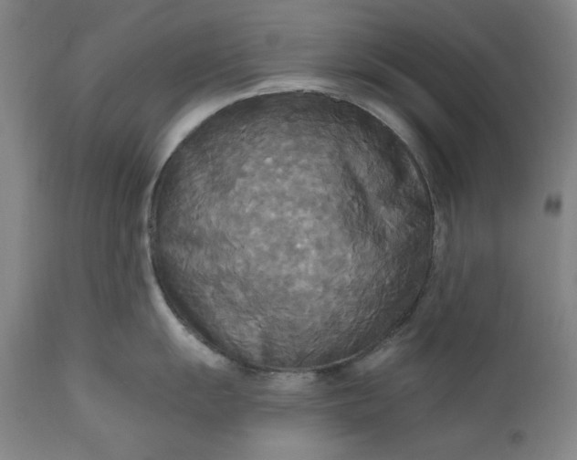 X0000111171055200907151254