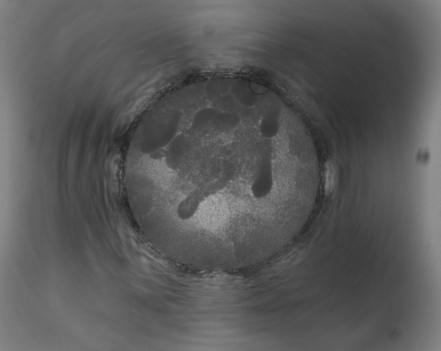 X0000111171059200907151253