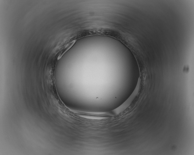 X0000111171060200907151253