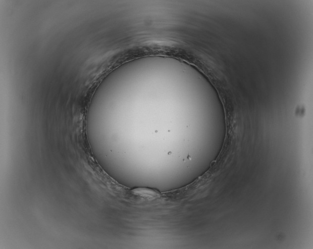 X0000111171061200907151253