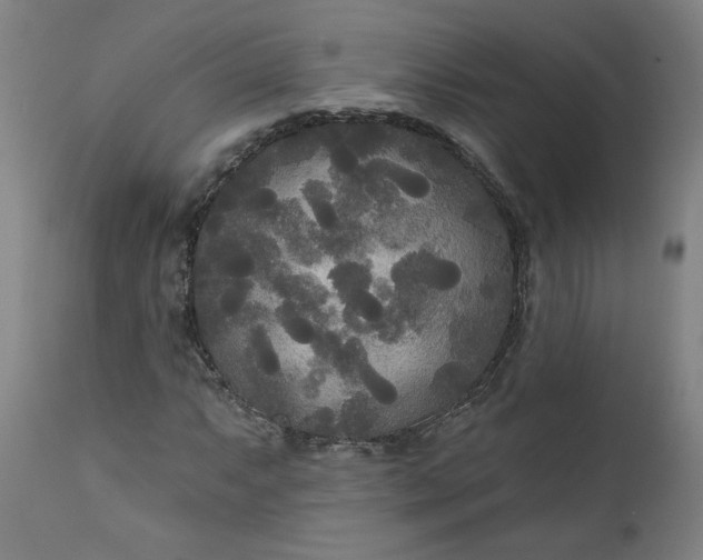 X0000111171063200907151253