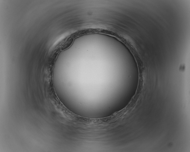 X0000111171064200907151253