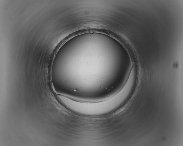 X0000111171065200907151253