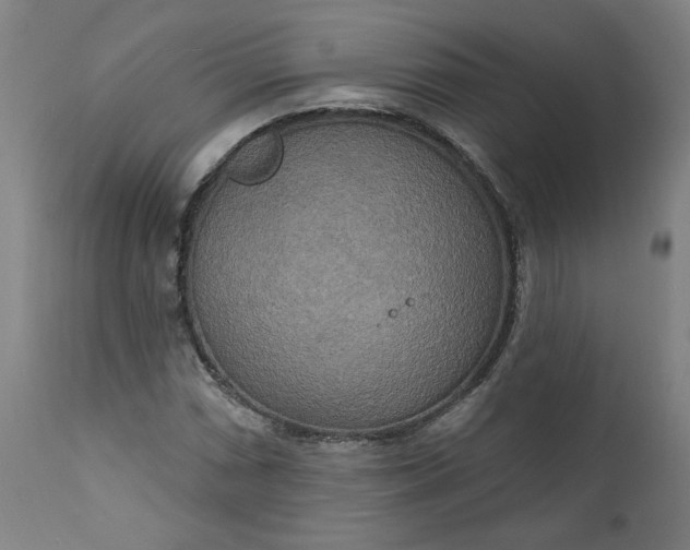 X0000111171066200907151253