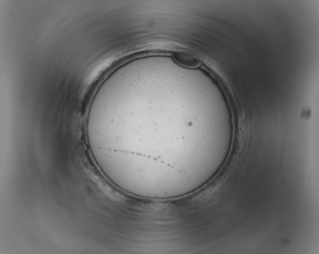 X0000111171067200907151253