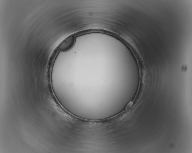 X0000111171068200907151253