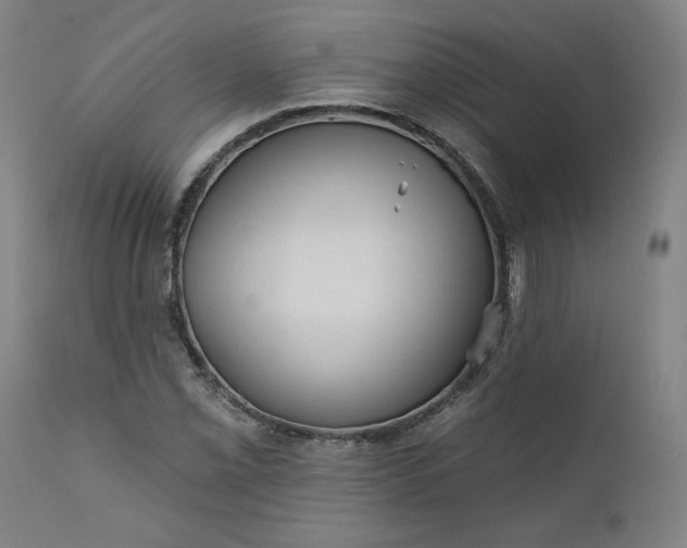 X0000111171069200907151253