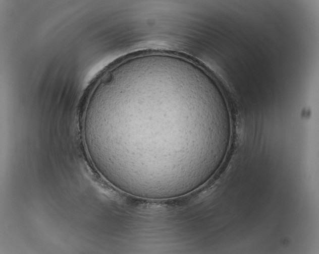 X0000111171070200907151253