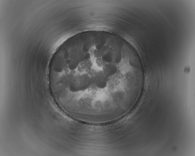 X0000111171071200907151253