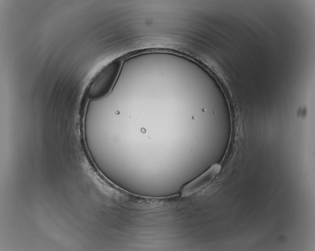 X0000111171072200907151253