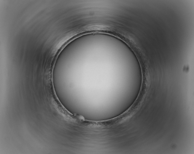 X0000111171073200907151253