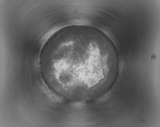 X0000111171074200907151253