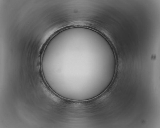 X0000111171075200907151253