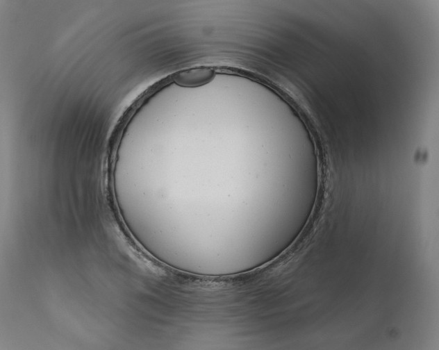 X0000111171076200907151253