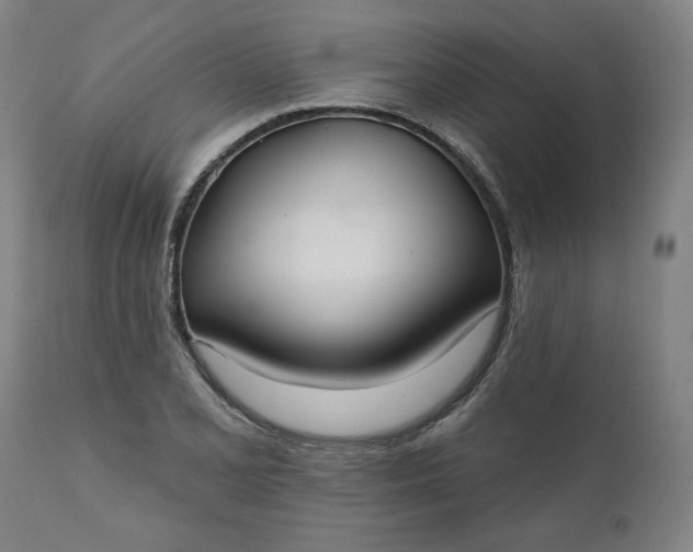 X0000111171077200907151253