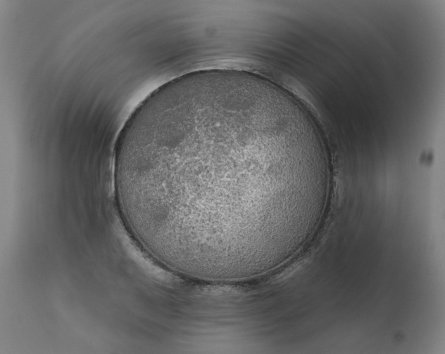 X0000111171079200907151253