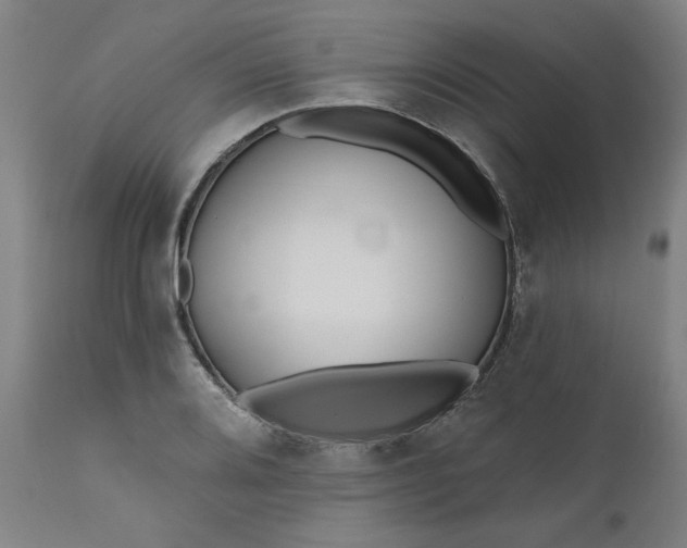 X0000111171080200907151253