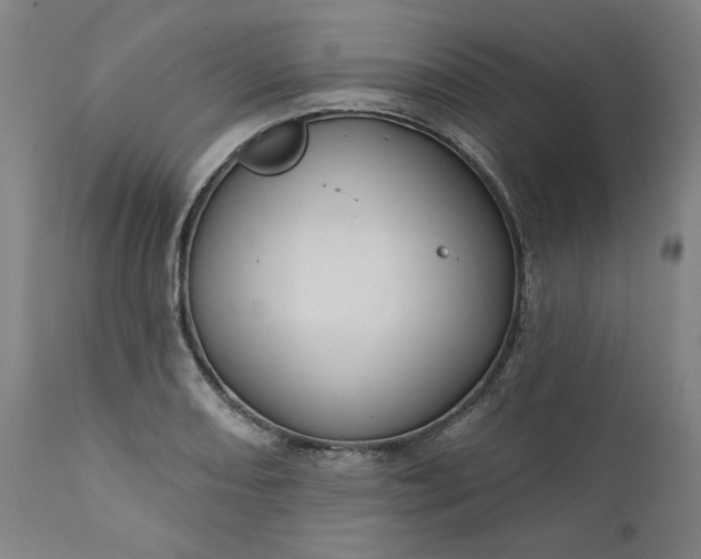 X0000111171082200907151253